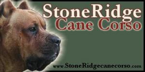 StoneRidgeCaneCorso